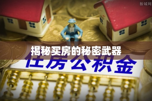 且末揭秘买房的秘密武器