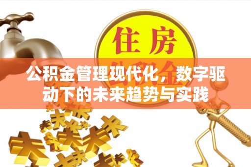 且末公积金管理现代化，数字驱动下的未来趋势与实践