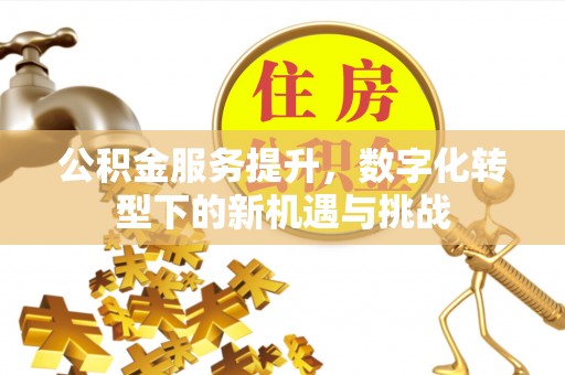 且末公积金服务提升，数字化转型下的新机遇与挑战