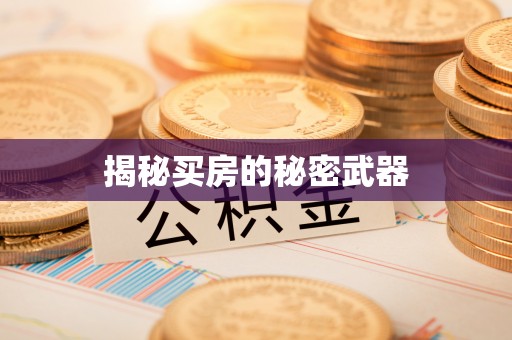 且末揭秘买房的秘密武器
