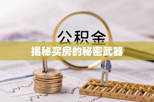 且末揭秘买房的秘密武器