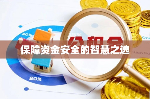 且末保障资金安全的智慧之选
