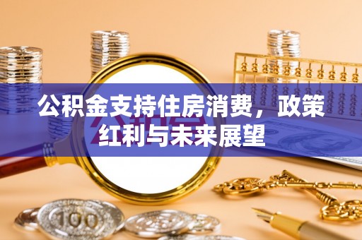 且末公积金支持住房消费，政策红利与未来展望