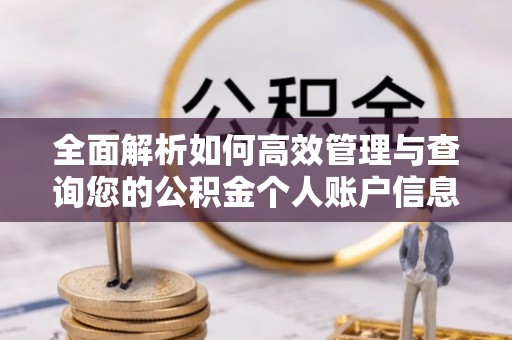 且末全面解析如何高效管理与查询您的公积金个人账户信息