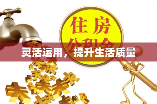 且末灵活运用，提升生活质量