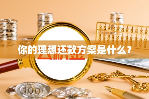 且末你的理想还款方案是什么？