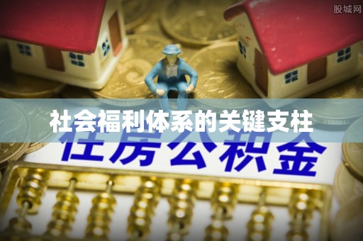 且末社会福利体系的关键支柱
