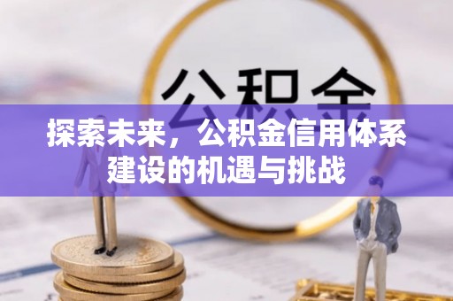 且末探索未来，公积金信用体系建设的机遇与挑战