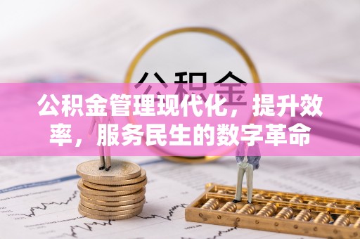 且末公积金管理现代化，提升效率，服务民生的数字革命