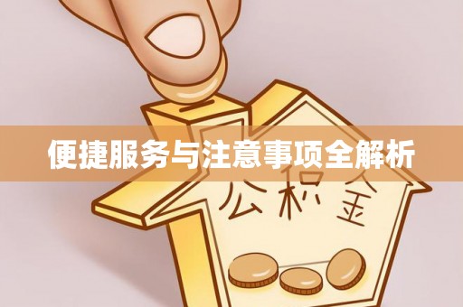 且末便捷服务与注意事项全解析