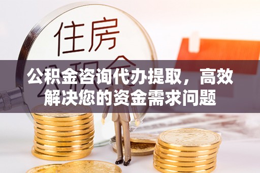 且末公积金咨询代办提取，高效解决您的资金需求问题