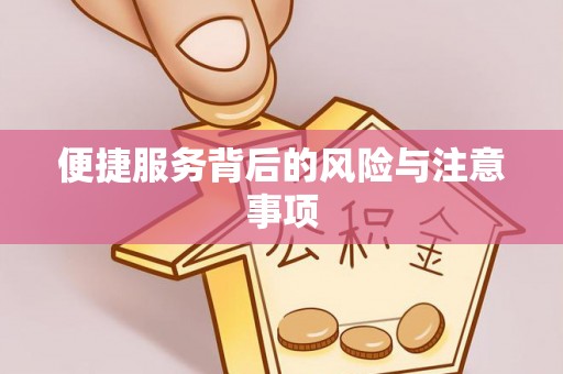 且末便捷服务背后的风险与注意事项