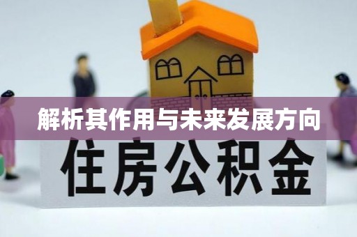 且末解析其作用与未来发展方向