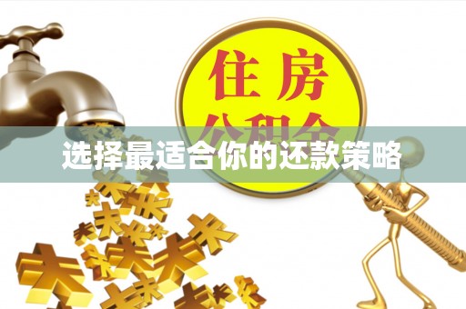 且末选择最适合你的还款策略
