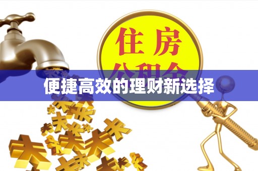 且末便捷高效的理财新选择